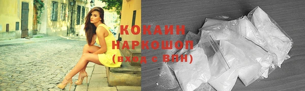 стафф Арсеньев