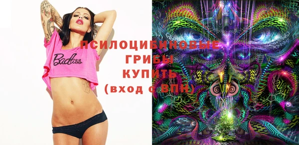 стафф Арсеньев
