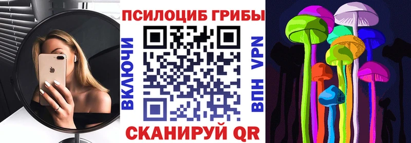 Галлюциногенные грибы Psilocybine cubensis  Мариинский Посад 